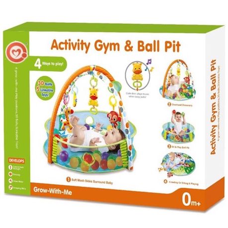 Activity Gym & Ball Pit