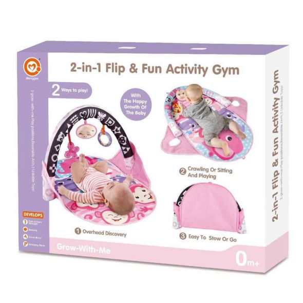 2-in-1 Flip & Fun Activity Gym