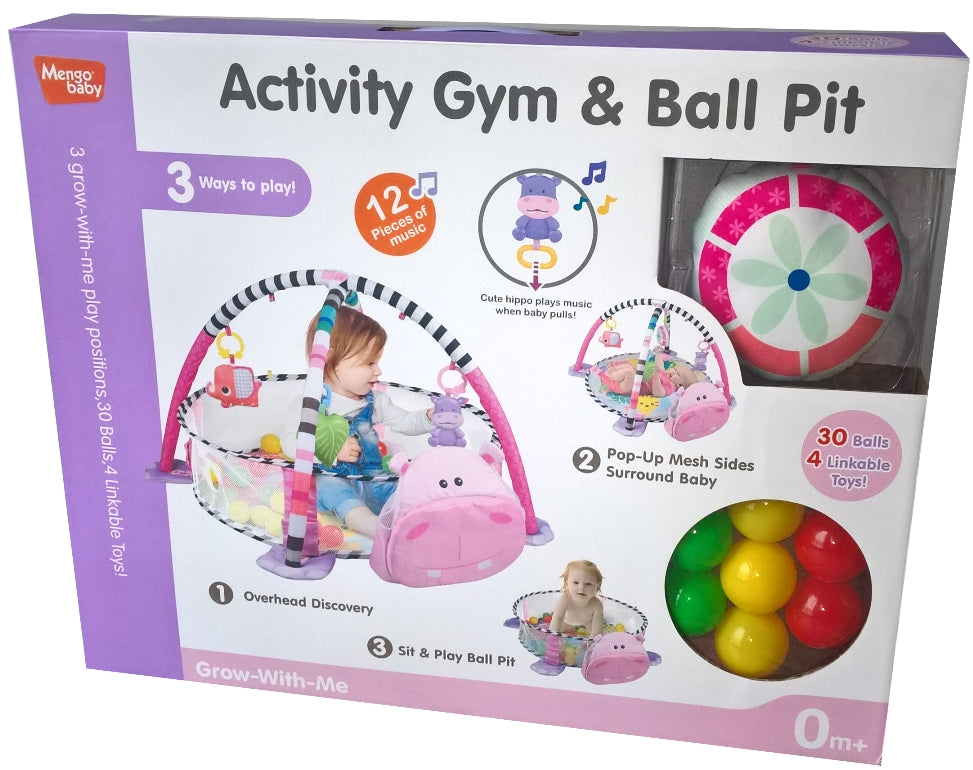 Activity Gym & Ball Pit