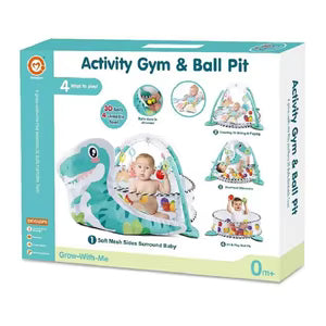 Activity Gym & Ball Pit
