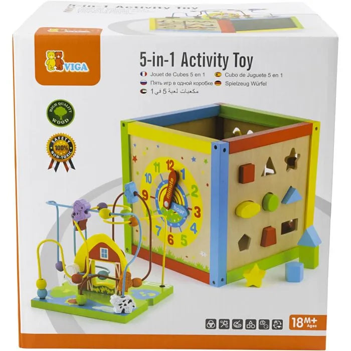 5-in-1 Activity Toy