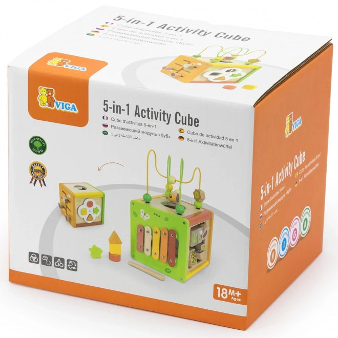 5-in 1 Activity Cube