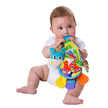 Musical Clip Clop Teether Book