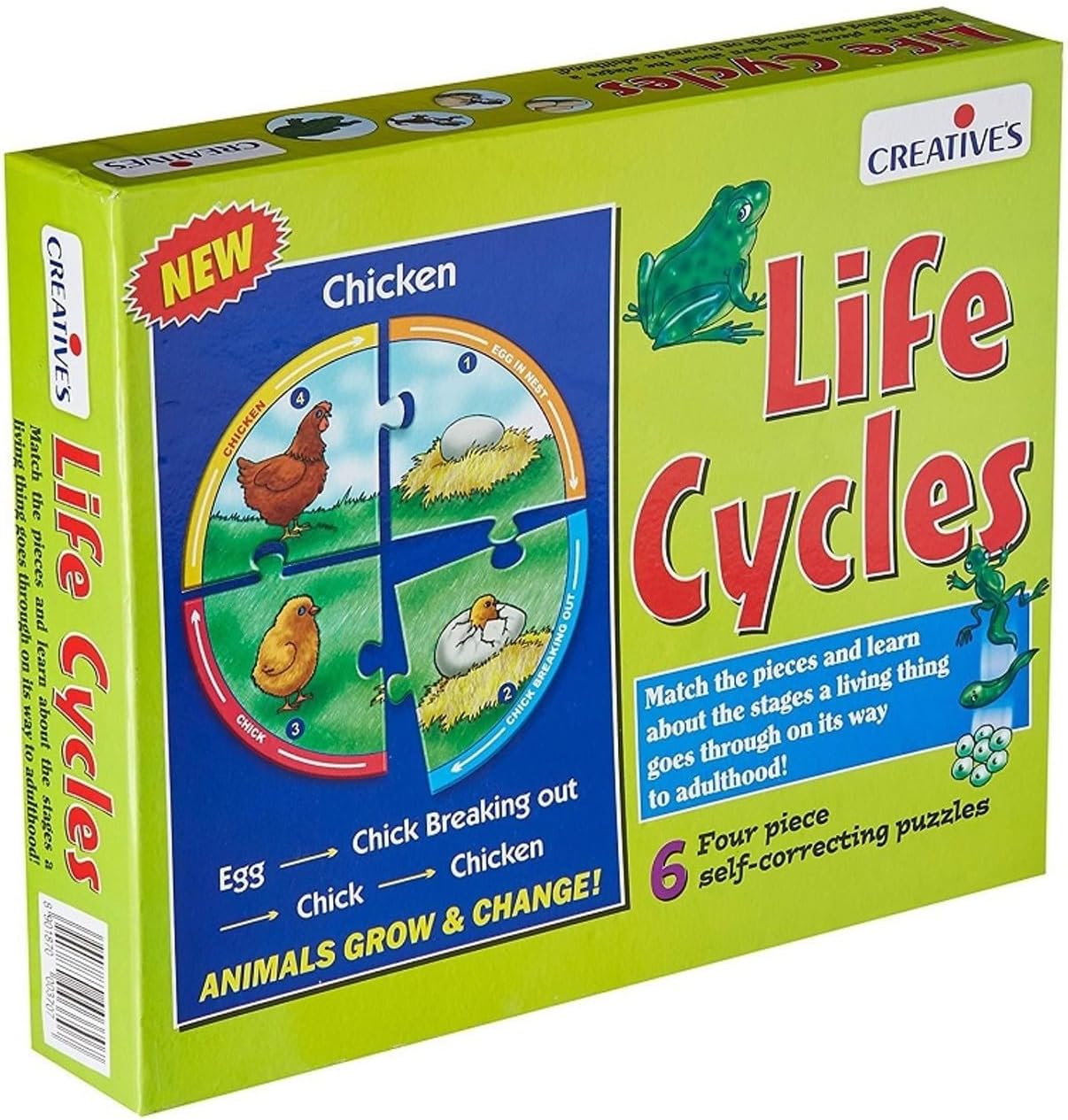 Life Cycles Puzzle