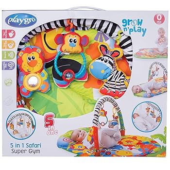 5 in 1 Safari Super Gym