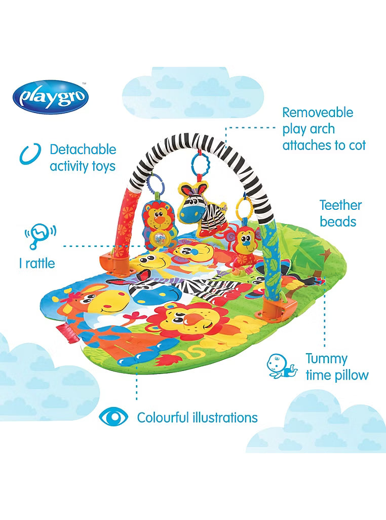 5 in 1 Safari Super Gym