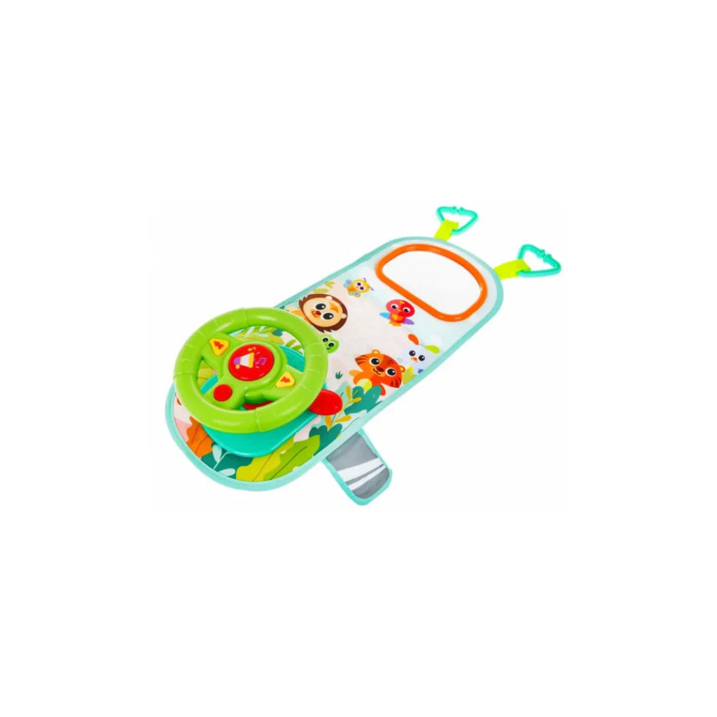 Car Steering Wheel