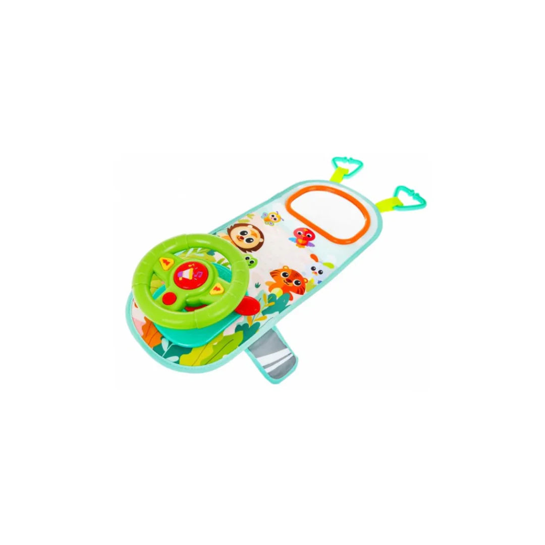 Car Steering Wheel