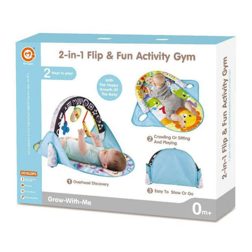 2-in-1 Flip & Fun Activity Gym