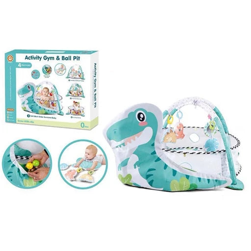 Activity Gym & Ball Pit