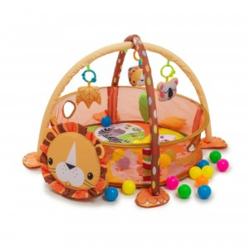 ACTIVITY GYM & BALL PIT