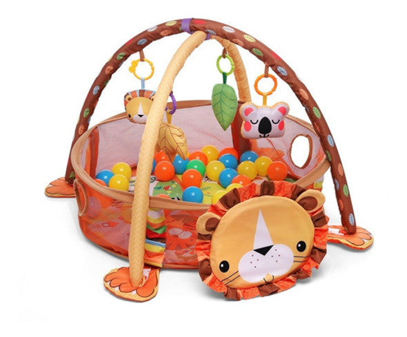 ACTIVITY GYM & BALL PIT