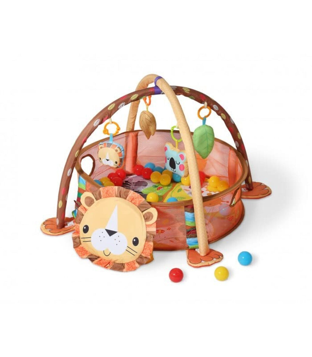 ACTIVITY GYM & BALL PIT