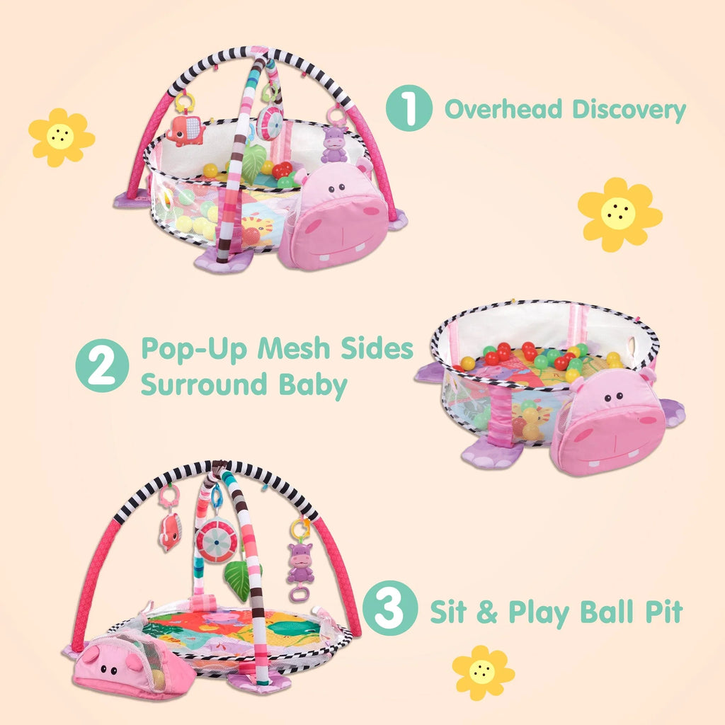 Activity Gym & Ball Pit