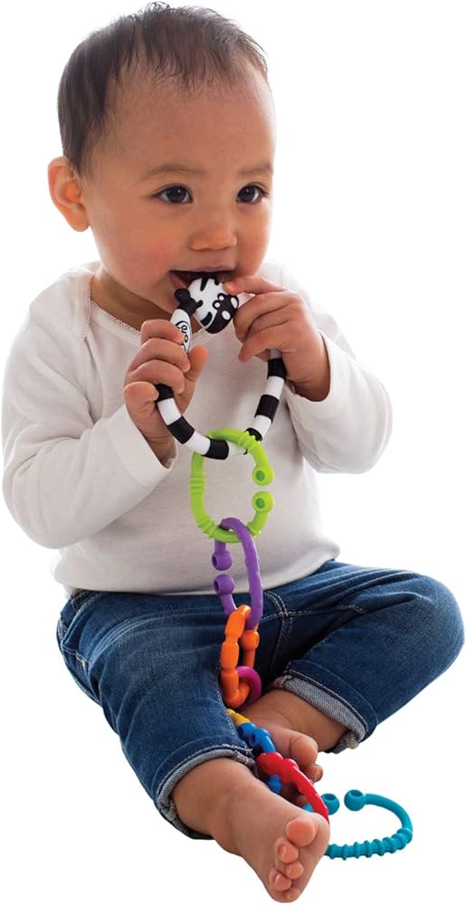 Zebra 9 Links