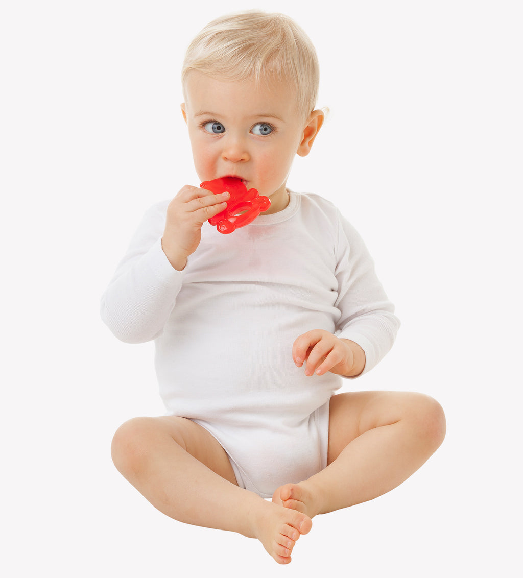 Cool Panda Water Teether