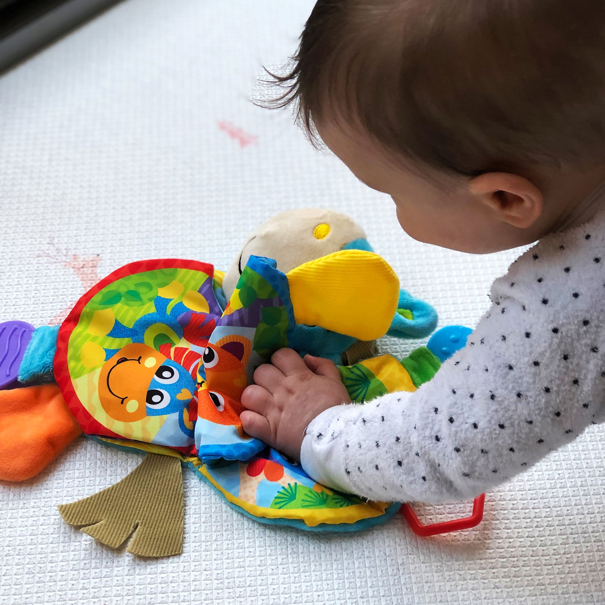 Musical Clip Clop Teether Book