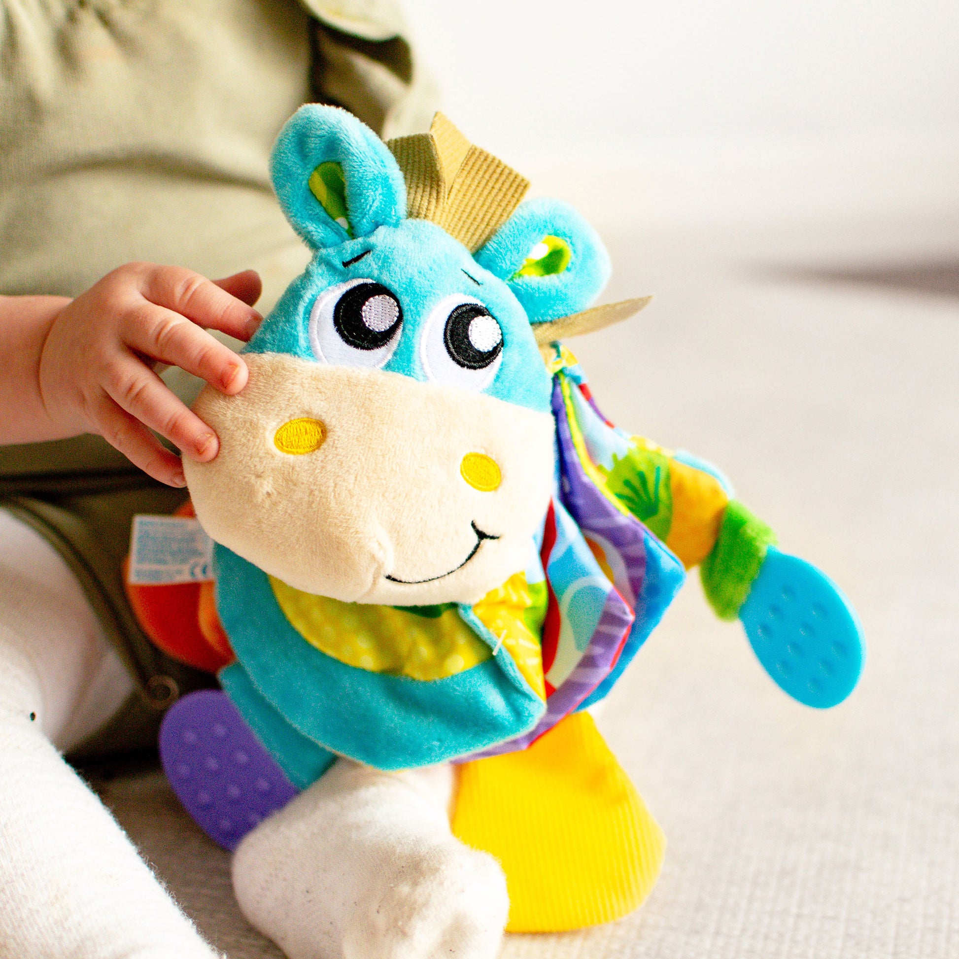 Musical Clip Clop Teether Book