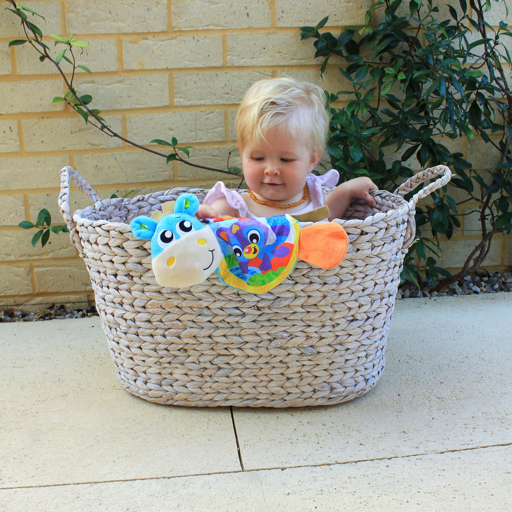 Musical Clip Clop Teether Book