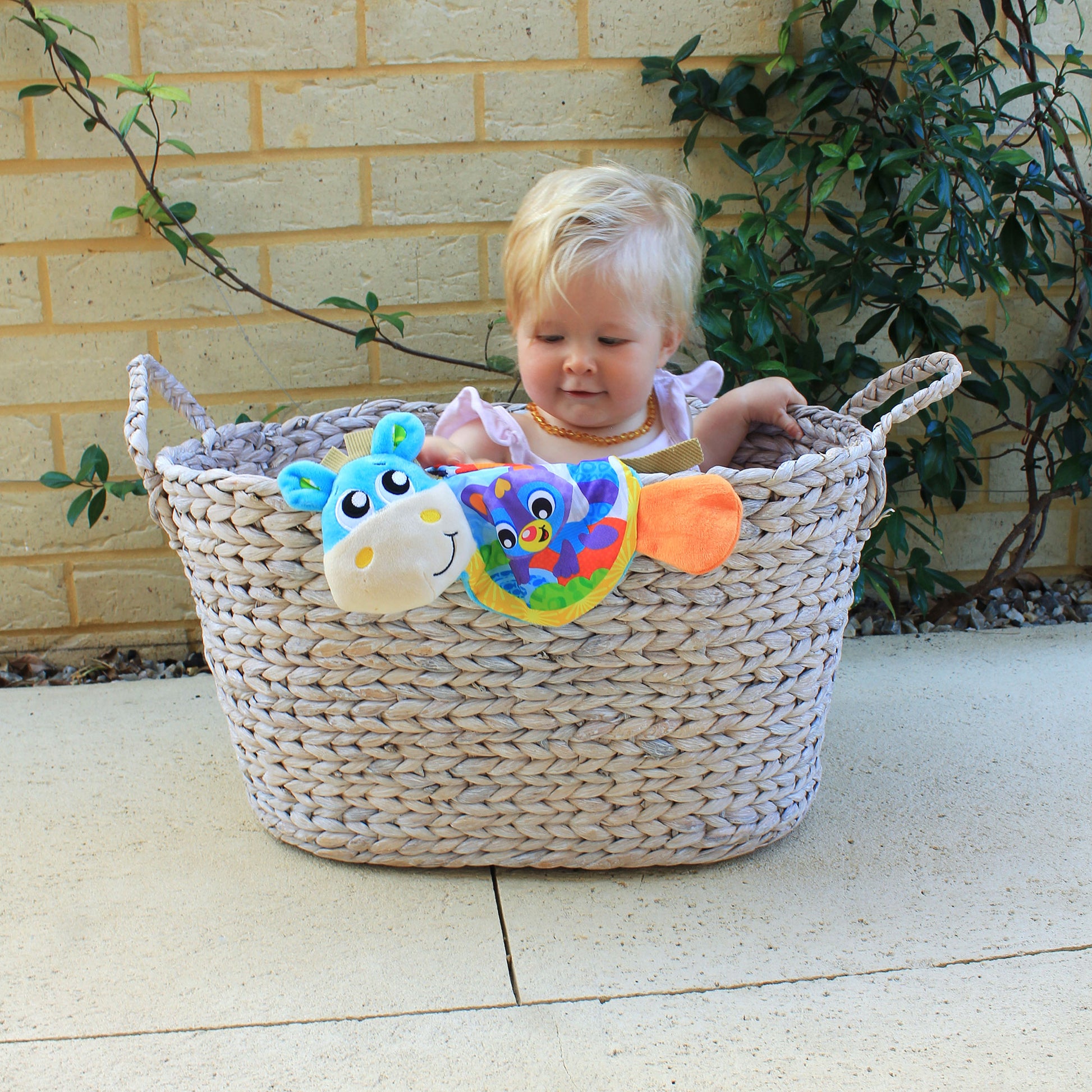 Musical Clip Clop Teether Book