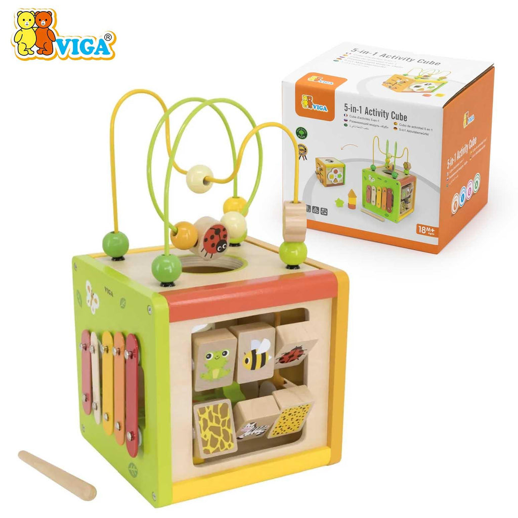 5-in 1 Activity Cube