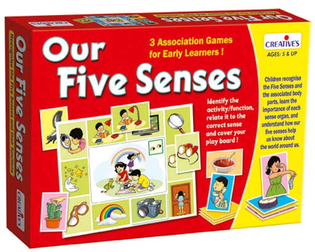Our Five Senses Educational Game