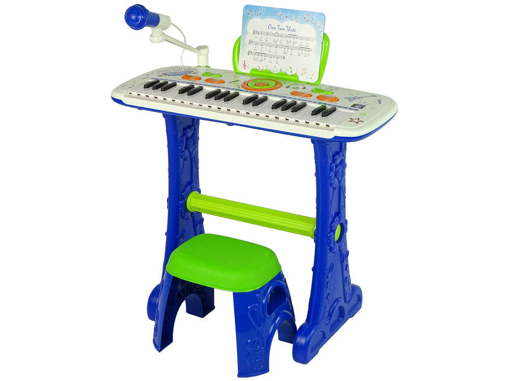 Electronic Piano Play Set