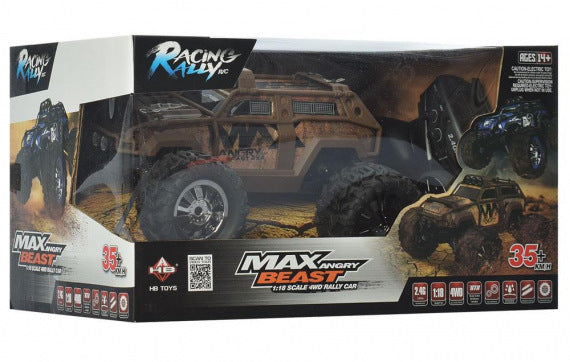 Remote Control Rally Car