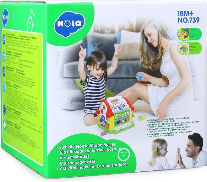 Activity House Shape Sorter