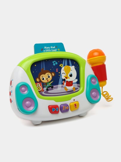 HOLA Karaoke Microphone Machine Toys
